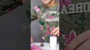 делаем хантавирус