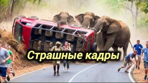 Новости Сегодня 22.05.2026 Катаклизмы, ЧП, События дня | Россия США Китай Европа Индия