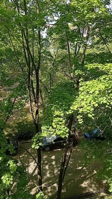 Безглазый джак пришёл смотреть онлайн
