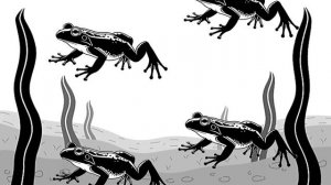 Картинки для новорожденных. Черно-белые картинки. Сенсорные. Водный мир