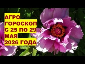 Агрогороскоп: что делать в саду и огороде с 25 по 29 мая 2026 года?!