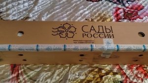 РАСПАКОВКА ПОСЫЛКИ С САЖЕНЦАМИ 😊. ОБЗОР ПОКУПОК С САДОВОГО МАГАЗИНА.