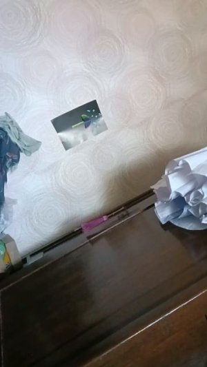 мой кот