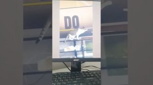 проколы с котами часть 1
