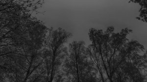 Музыка для Сна. Успокаивающая музыка для сна. Усыпляющая музыка для сна. Релакс музыка для сна