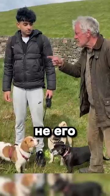 Разобрал стену