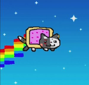 NYAN CAT DARK NIGHT! WARRIORS CATS