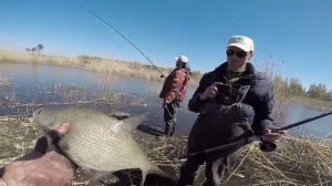 Боковой кивок спасет всегда, Ловля на боковой кивок