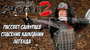 Кот спаси мою кампанию. Shogun 2 ДЛС Рассвет Самураев.