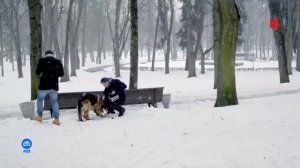 Рекламный блок и анонсы (НТВ Сериал HD, 23.05.2026)