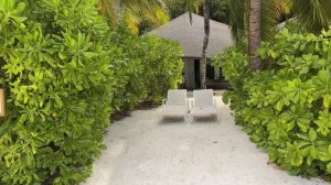 The Centara Collection Machchafushi Island Resort Мальдивы остров по кругу выход к морю от всех вилл