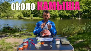 КАК ПОЙМАТЬ МНОГО КАРПА у камыша? Рыбалка на карпа. Карпфишинг