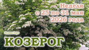 КОЗЕРОГ | ТАРО прогноз на неделю с 25 по 31 мая 2026 года