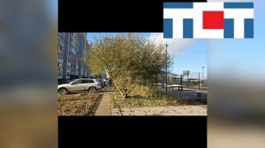 6 минутный эфир канала ТСТ 24.05.-25.05.2026