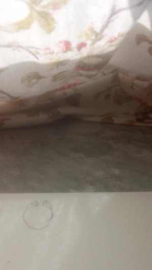 просто видос