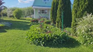 Уютная дача! 🏡Цветёт сирень!🌸Теплица. Ленинградская область 23.05.26г.🌷