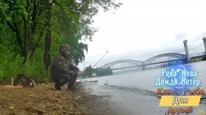 РЫБАЛКА ЭТО МЕСТО В ГОРОДЕ НА НЕВЕ БЫЛО МНОЮ ПОЧТИ ЗАБЫТО Я РЕШИЛ ЕГО ПОСЕТИТЬ КОГДА ТО СДЕСЬ ЛОВИЛ
