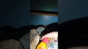 страшный миф! в этом заброшенном доме таится тайна! мы пожалели что туда пошли!!!