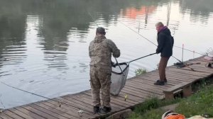 Утро на водоёме