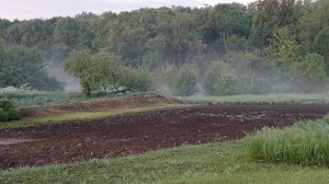 Раннее утро, пар после дождя