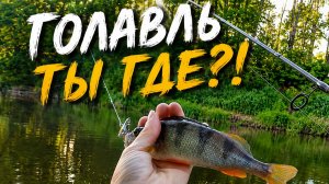 Рыбалка на малой реке.Охота на Голавля.Вечерний выезд .