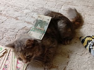 распаковка ам-ням.