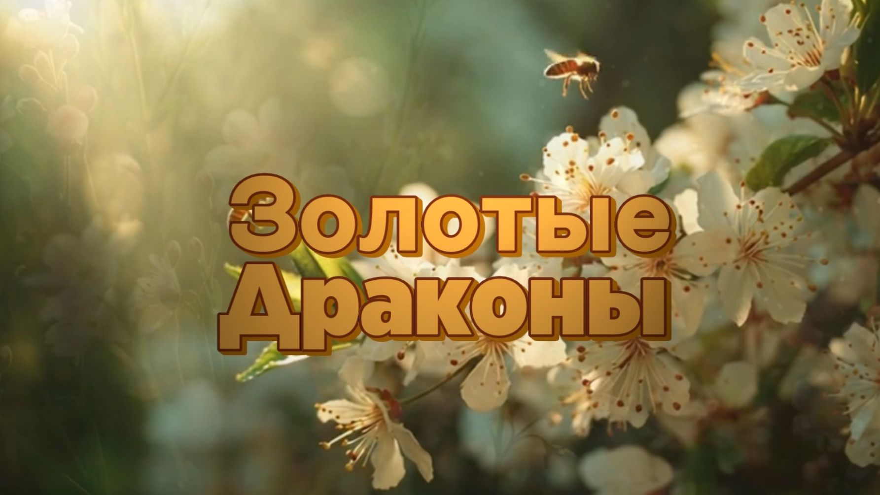 Золотые Драконы смотреть онлайн