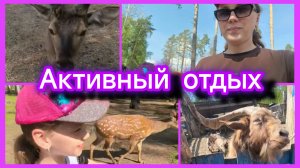 Где отдохнуть, куда поехать с ребёнком на сутки.