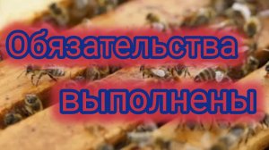 Обязательства выполнены 🐝
