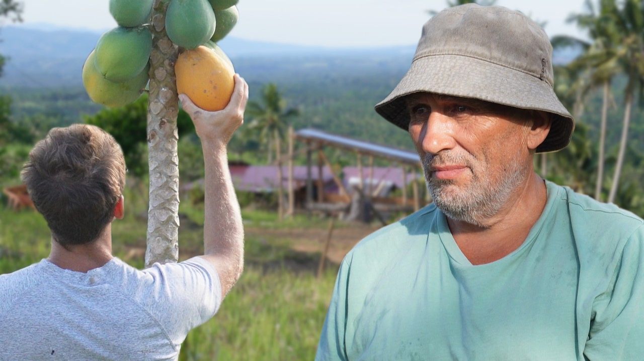 ИСХОД РУССКИХ МУЖИКОВ В ДЖУНГЛИ. Выживаем до зарплаты  Делаем дорогу на участке