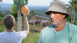 ИСХОД РУССКИХ МУЖИКОВ В ДЖУНГЛИ. Выживаем до зарплаты  Делаем дорогу на участке