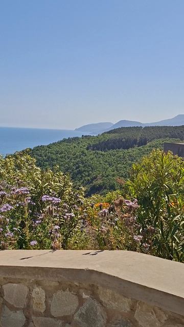 Покупка участка в Алуште | ПМЖ в Крыму смотреть онлайн