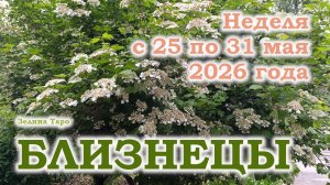 БЛИЗНЕЦЫ | ТАРО прогноз на неделю с 25 по 31 мая 2026 года