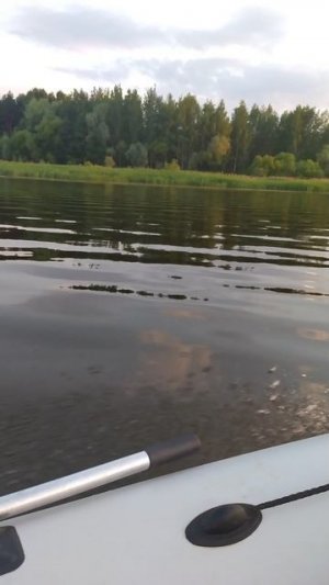 Волга