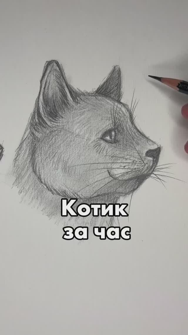 Котик за час смотреть онлайн