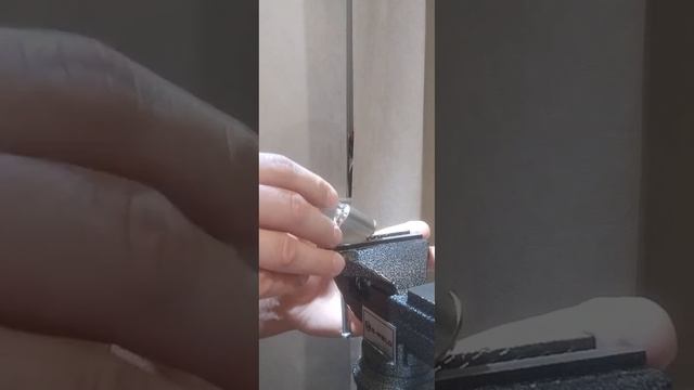 VID_20260424_091924