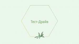 Что такое Тест-Драйв?
