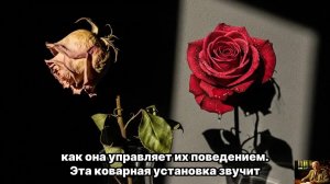 ЮНГ РАЗРУШИЛ МИФ — Одиночество после 50 НАЧАЛО великой ЛЮБВИ