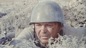 Дмитрий Лик. Они сражались за Родину