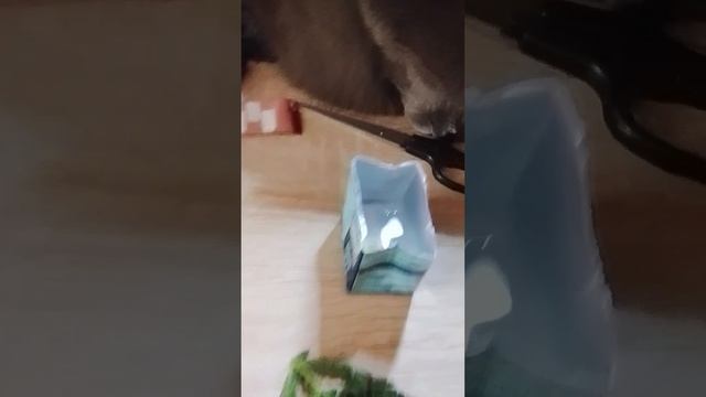готовлю зелье