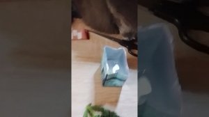 готовлю зелье