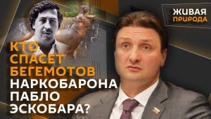 Эдгард Запашный и Нина Ватт. Дрессированные ламы, кокаиновые бегемоты, кошки и поцелуи, зов о помощи