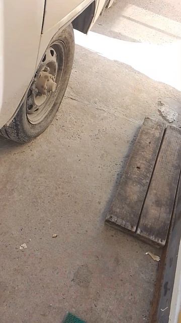 2026-05-24 смотреть онлайн