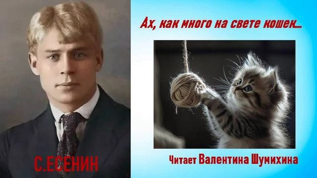 С.Есенин "Ах, как много на свете кошек..." Читает Валентина Шумихина.