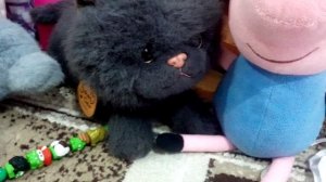 Заказали на wb неизвестный сюрприз❤️💕🩷🐈😁 Читаю сказку моим зверятам!!!🥳🐱🌸🥰