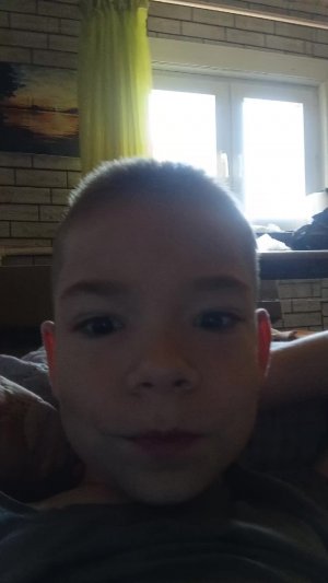 ллд