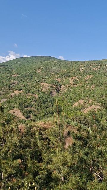 Покупка участка в Алуште | ПМЖ в Крыму смотреть онлайн