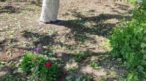 22 мая началось с утренней разминки