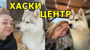 ПУШИСТЫЕ ОБИТАТЕЛИ ГОР 🐾 ХАСКИ-ЦЕНТР НА КРАСНОЙ ПОЛЯНЕ. ОТПУСК. 25 НОЯБРЯ 2025 ГОДА.
