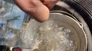 VID_20260524_114740.mp4